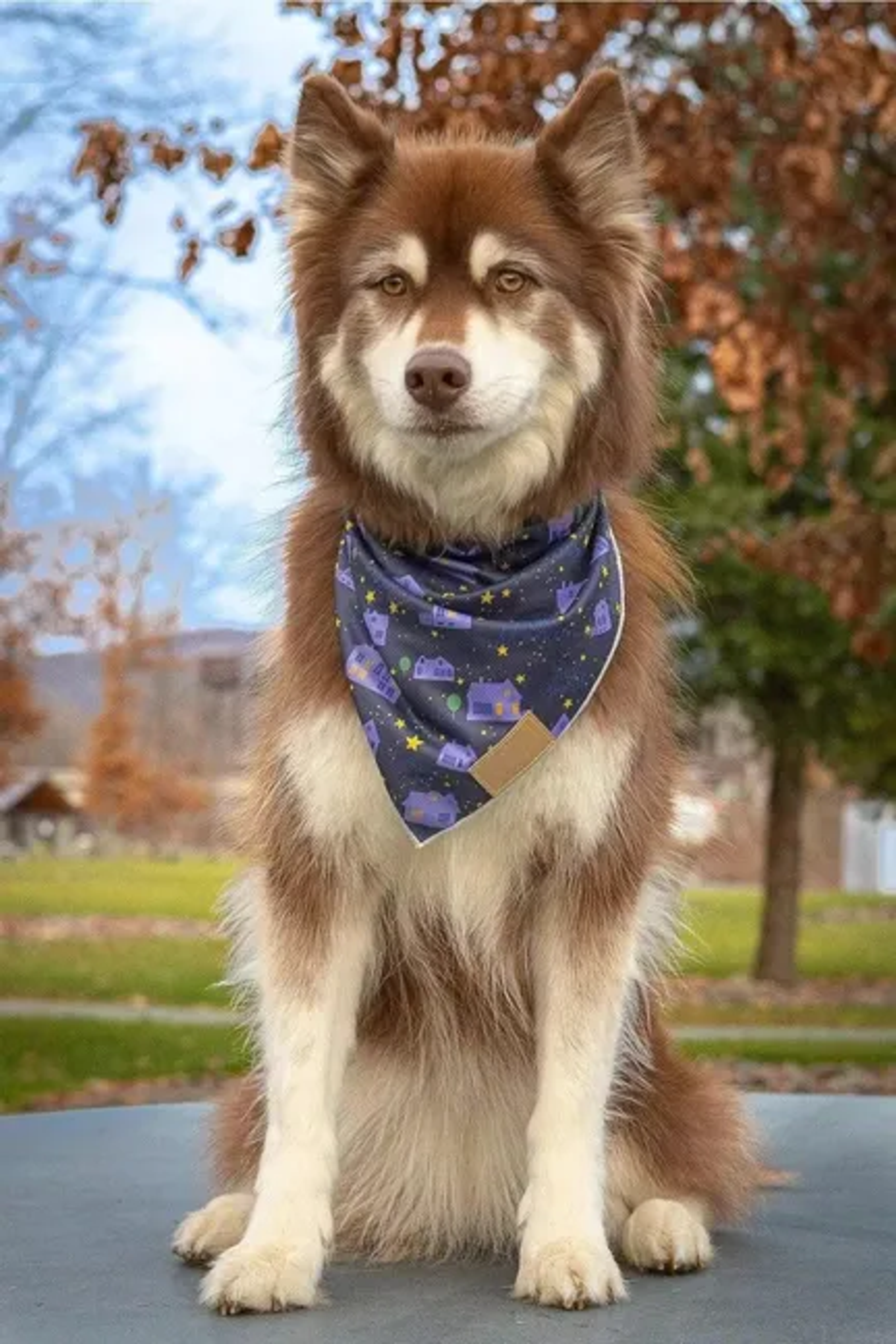 Aria the Fox LLC Starry Embrace Dog Bandana Dog Bandanas