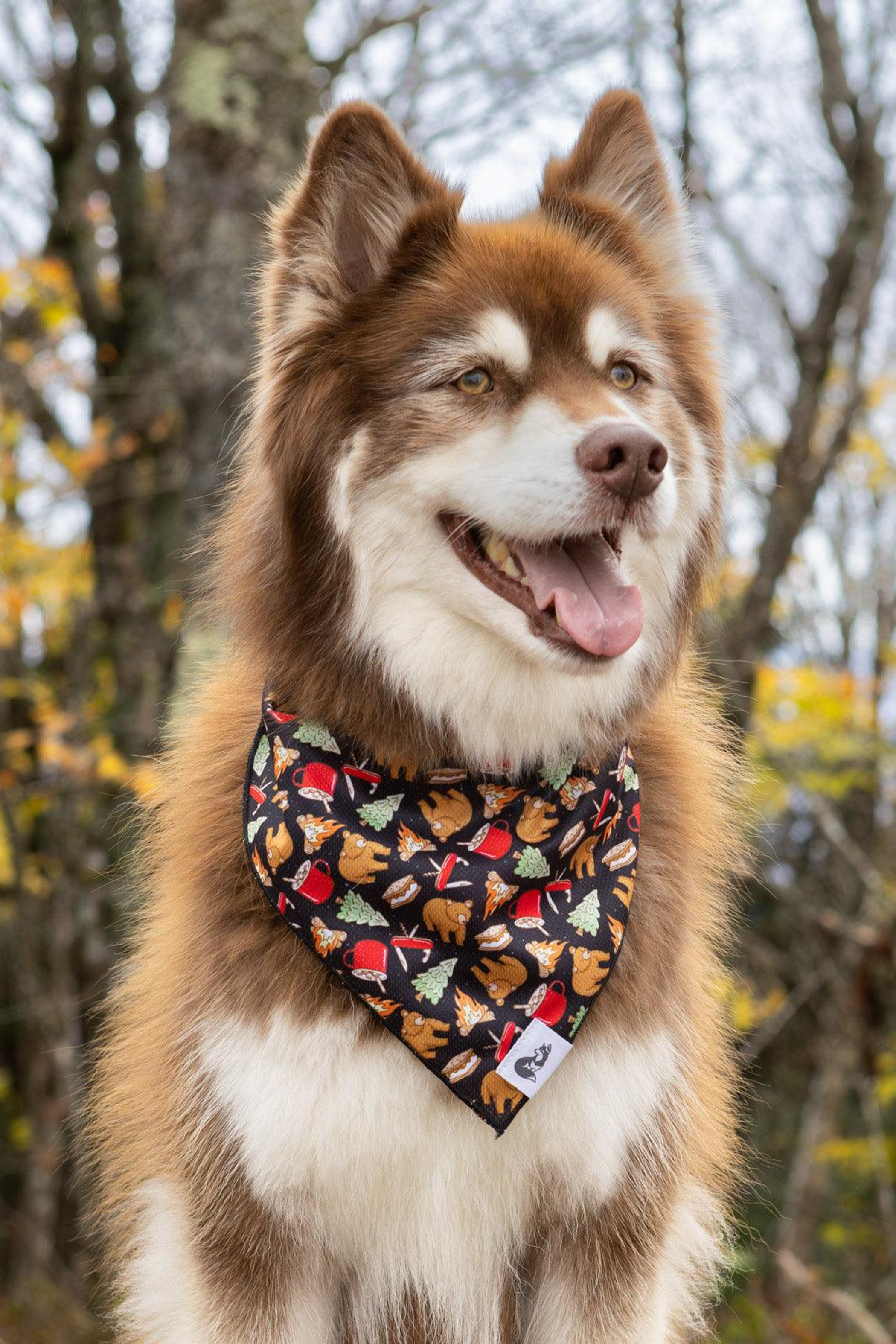 Aria the Fox LLC Woodland Tales Dog Bandana Dog Bandanas