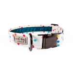 Nauti-dog Handmade LLC Celebration Birthday Rainbow Confetti Sprinkle Buckle & Martingale Dog Collar Dog Collars