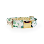 Nauti-dog Handmade LLC Lucky Irish Four Leaf Clover St. Paddy's Day Shamrock Buckle & Martingale Dog Collar Dog Collars