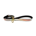 Nauti-dog Handmade LLC Sunset Retro-Mod Stripe Ribbon Dog Leash Dog Leashes