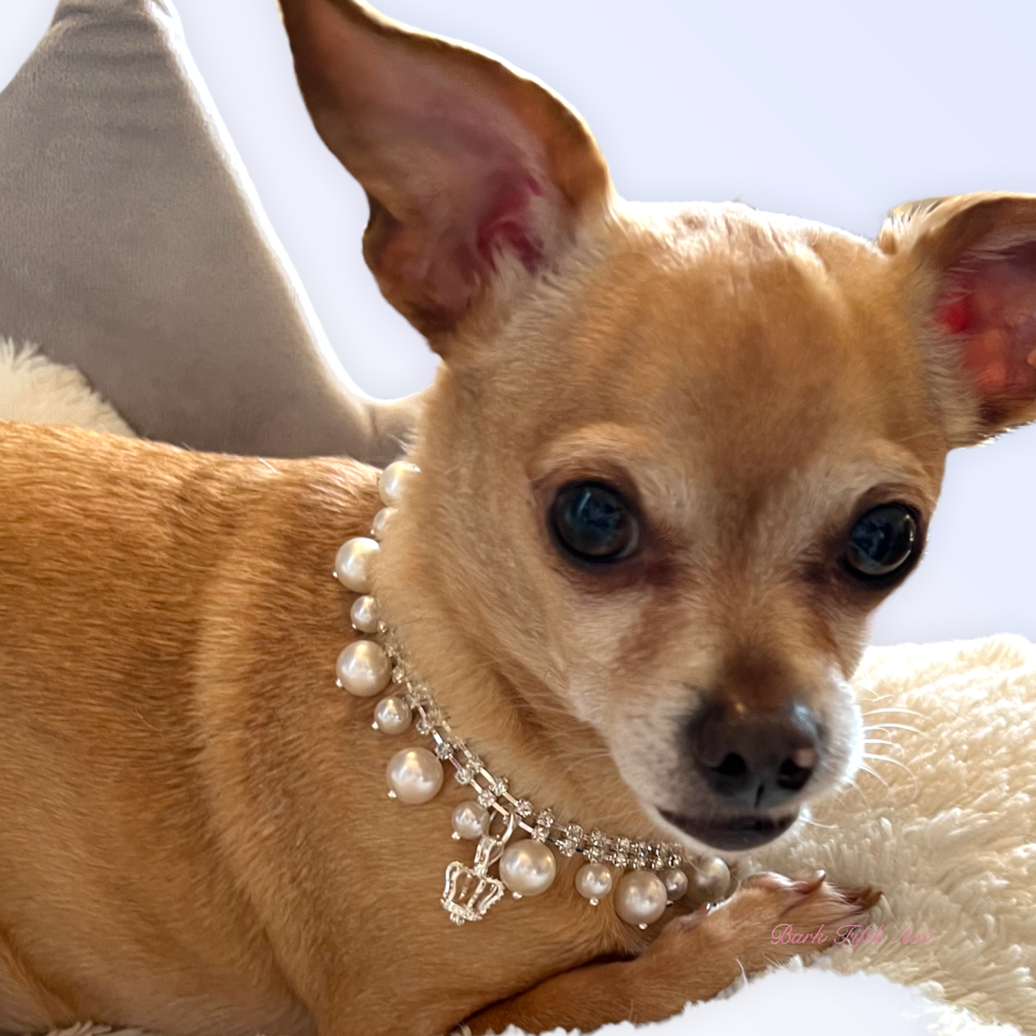 Bark Fifth Avenue Rhinestone & Pearl Crown Necklace Dog Collars