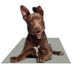 The Green Pet Shop Chillz Gel Mat Training