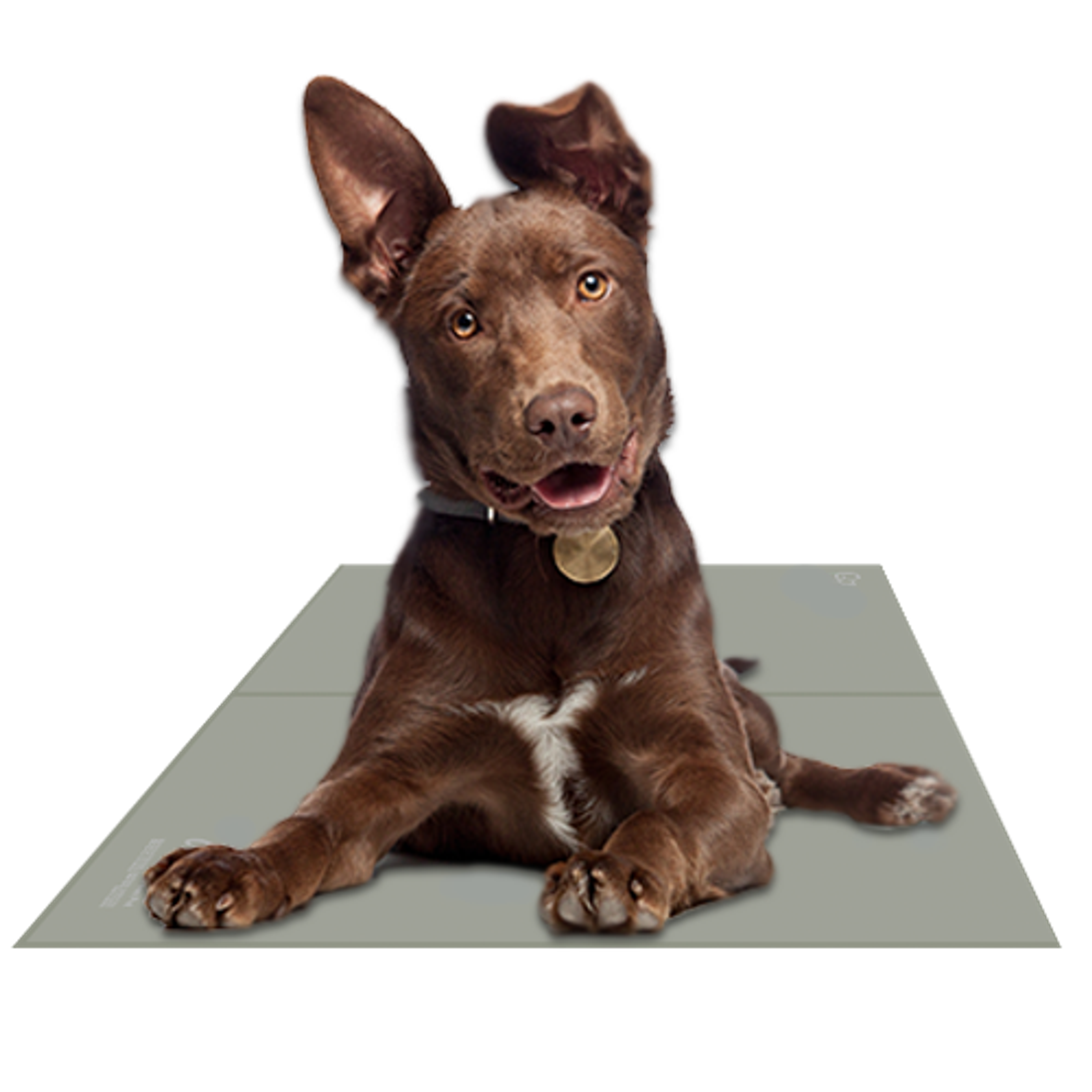 The Green Pet Shop Chillz Gel Mat Training