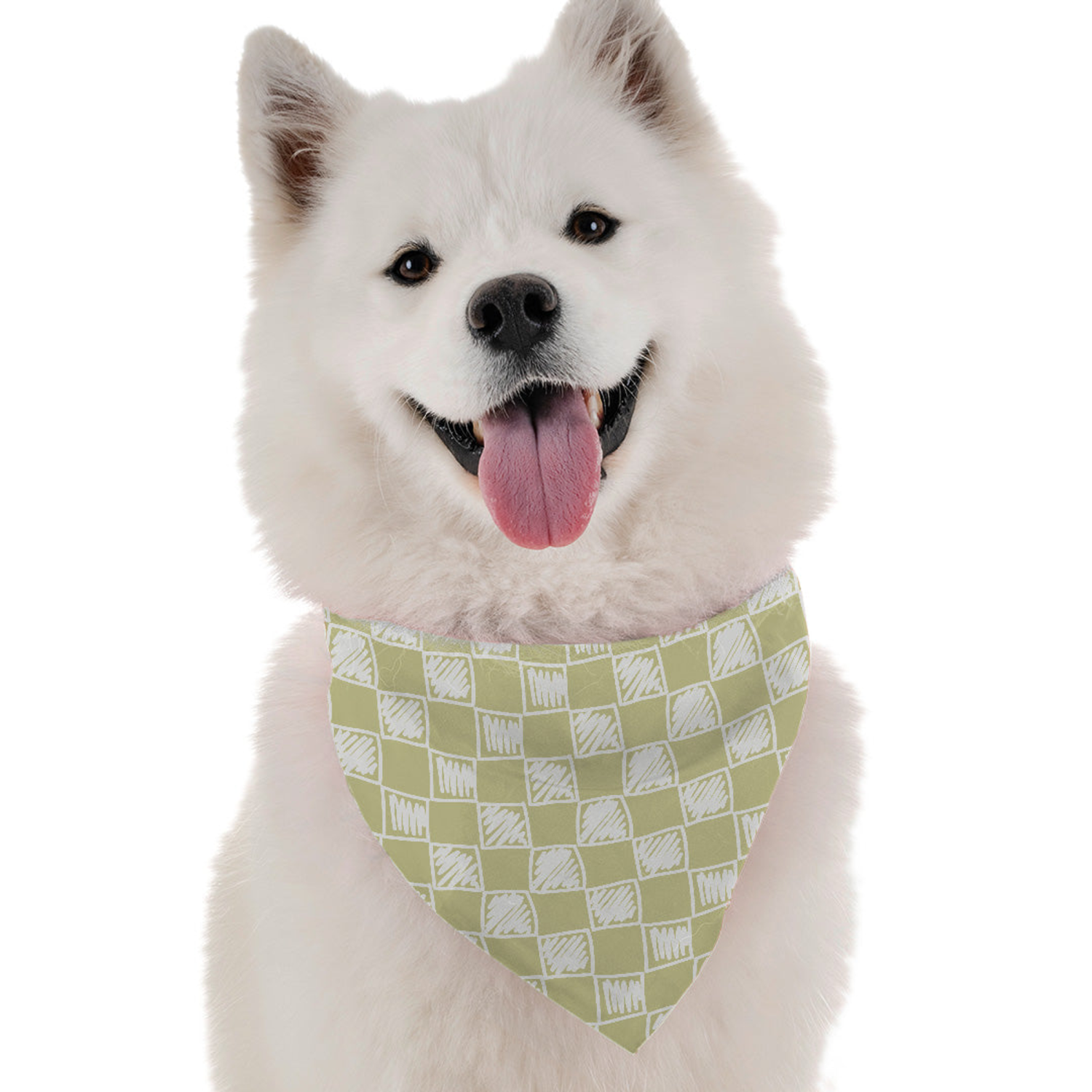 Bandoggies Cove Dog Bandanas