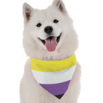 Bandoggies Non Binary Pride Dog Bandanas