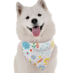 Bandoggies Desert Flower Dog Bandanas