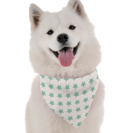 Bandoggies You're a Star Dog Bandanas