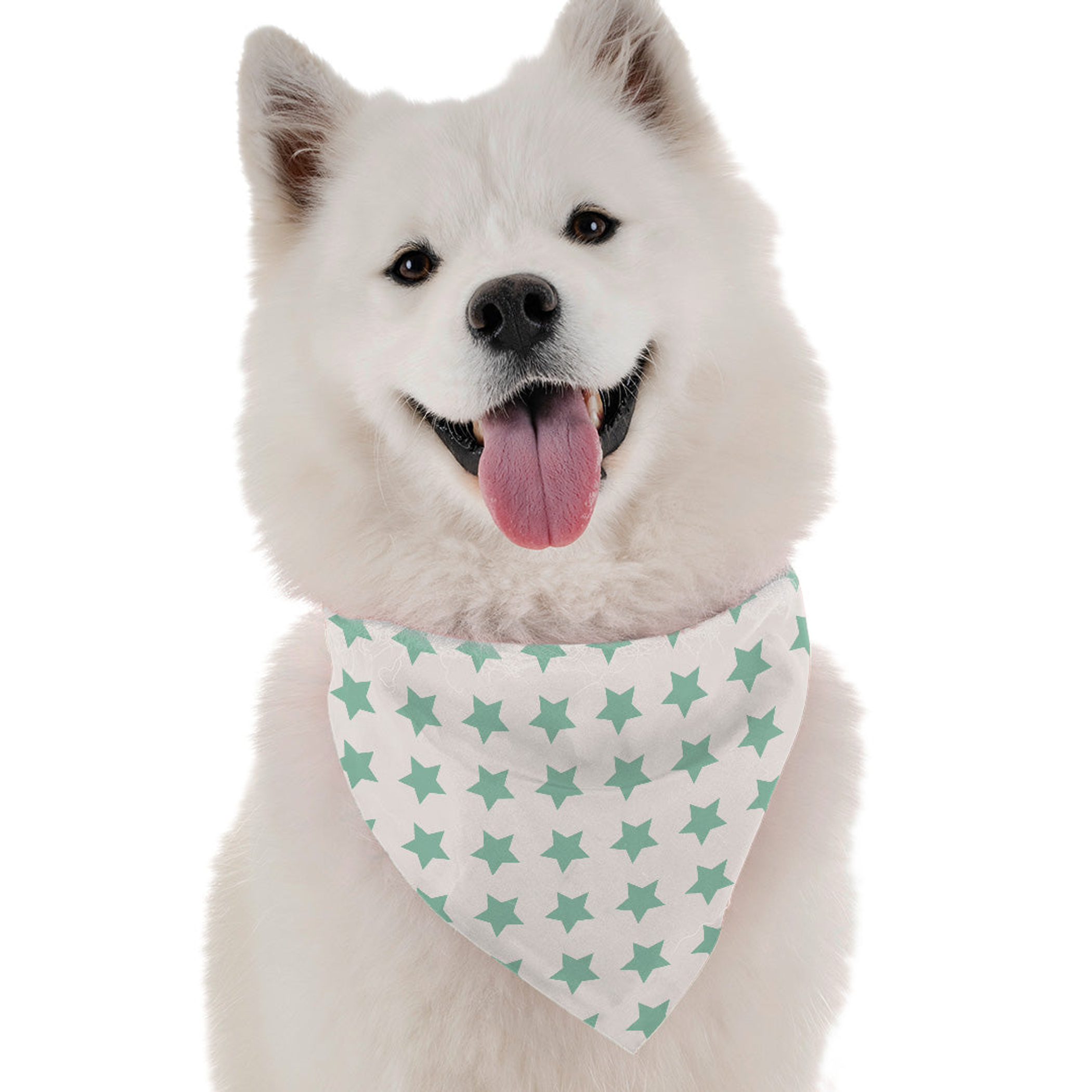 Bandoggies You're a Star Dog Bandanas