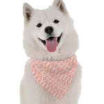 Bandoggies Peri Dog Bandanas