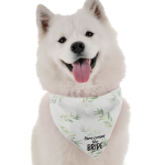 Bandoggies Here Comes the Bride Dog Bandanas