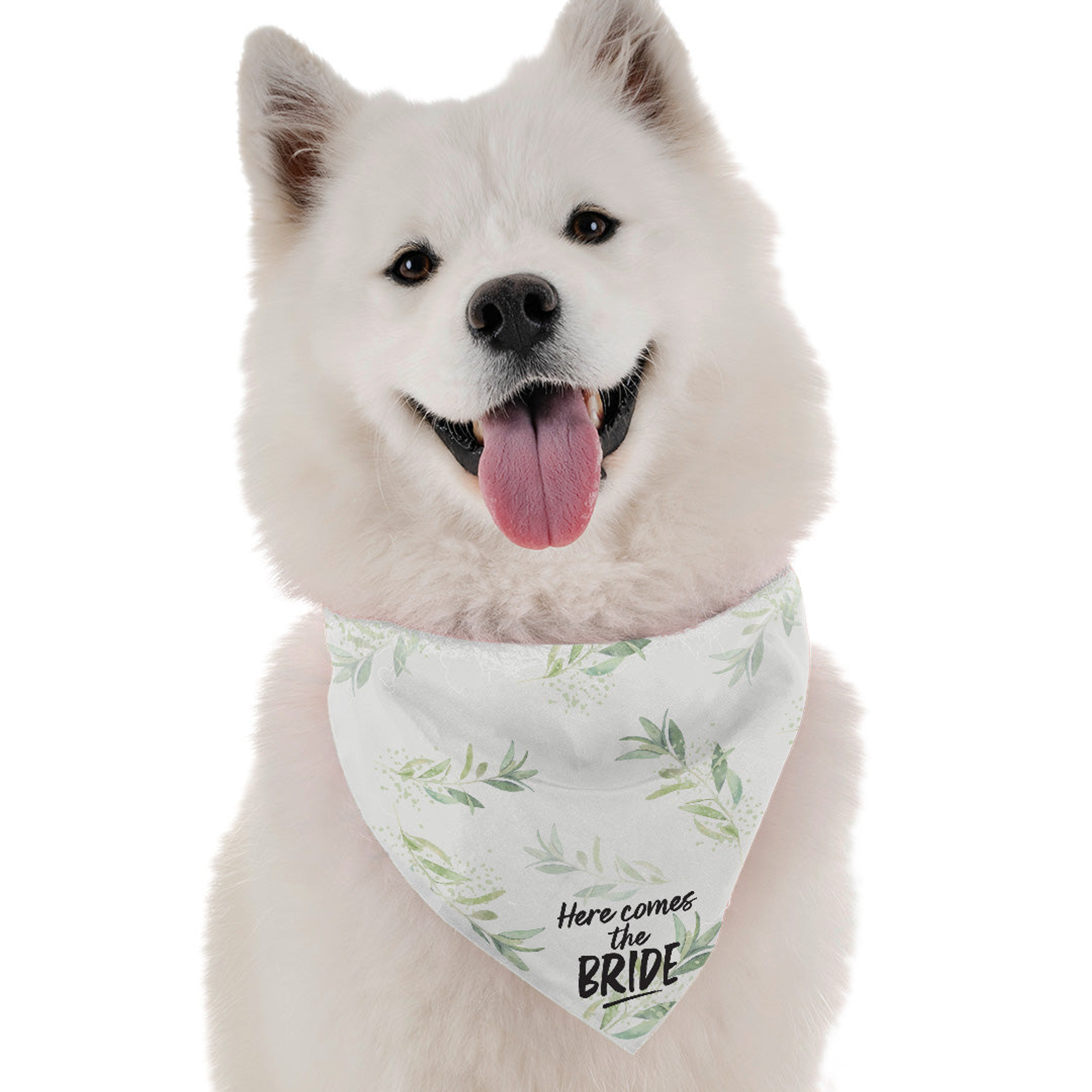 Bandoggies Here Comes the Bride Dog Bandanas