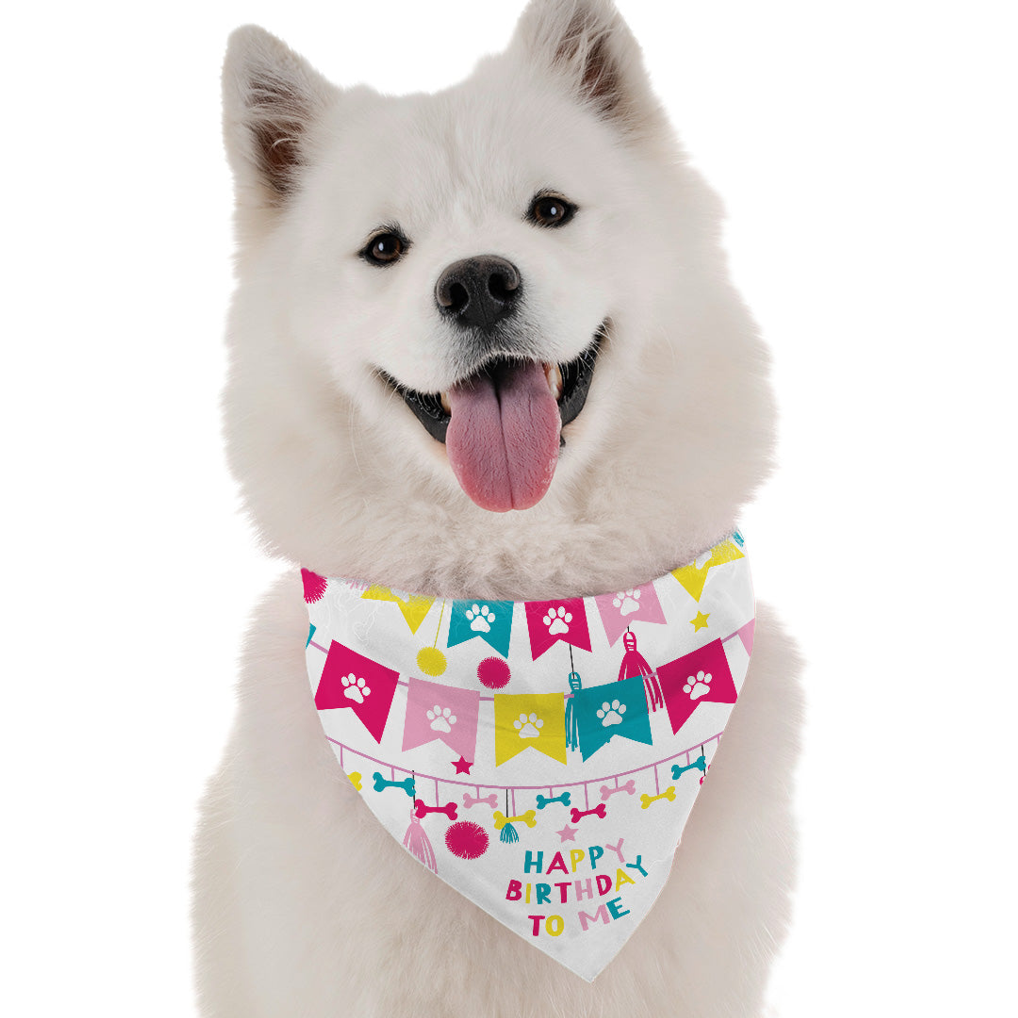 Bandoggies Happy Birthday To Me (Girl) Dog Bandanas