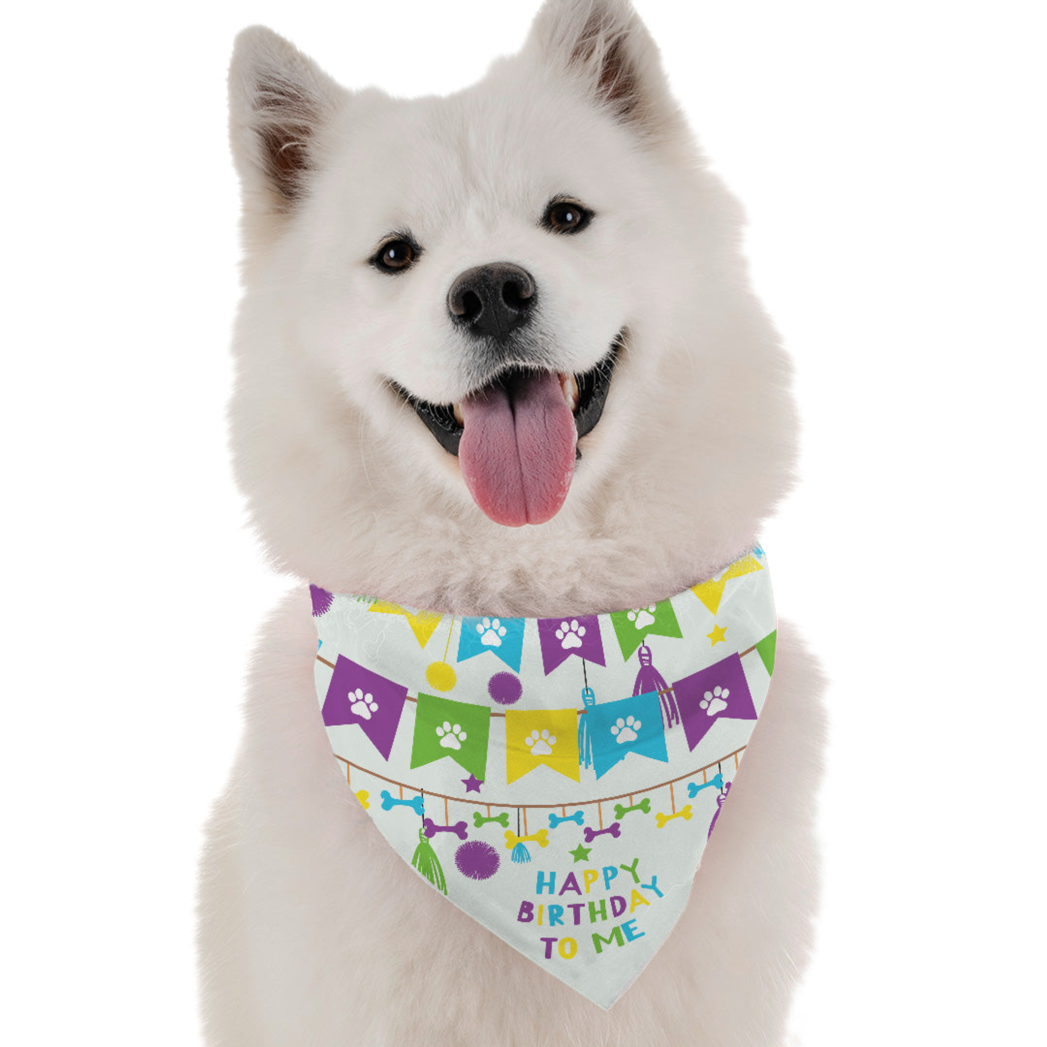 Bandoggies Happy Birthday To Me (Boy) Dog Bandanas