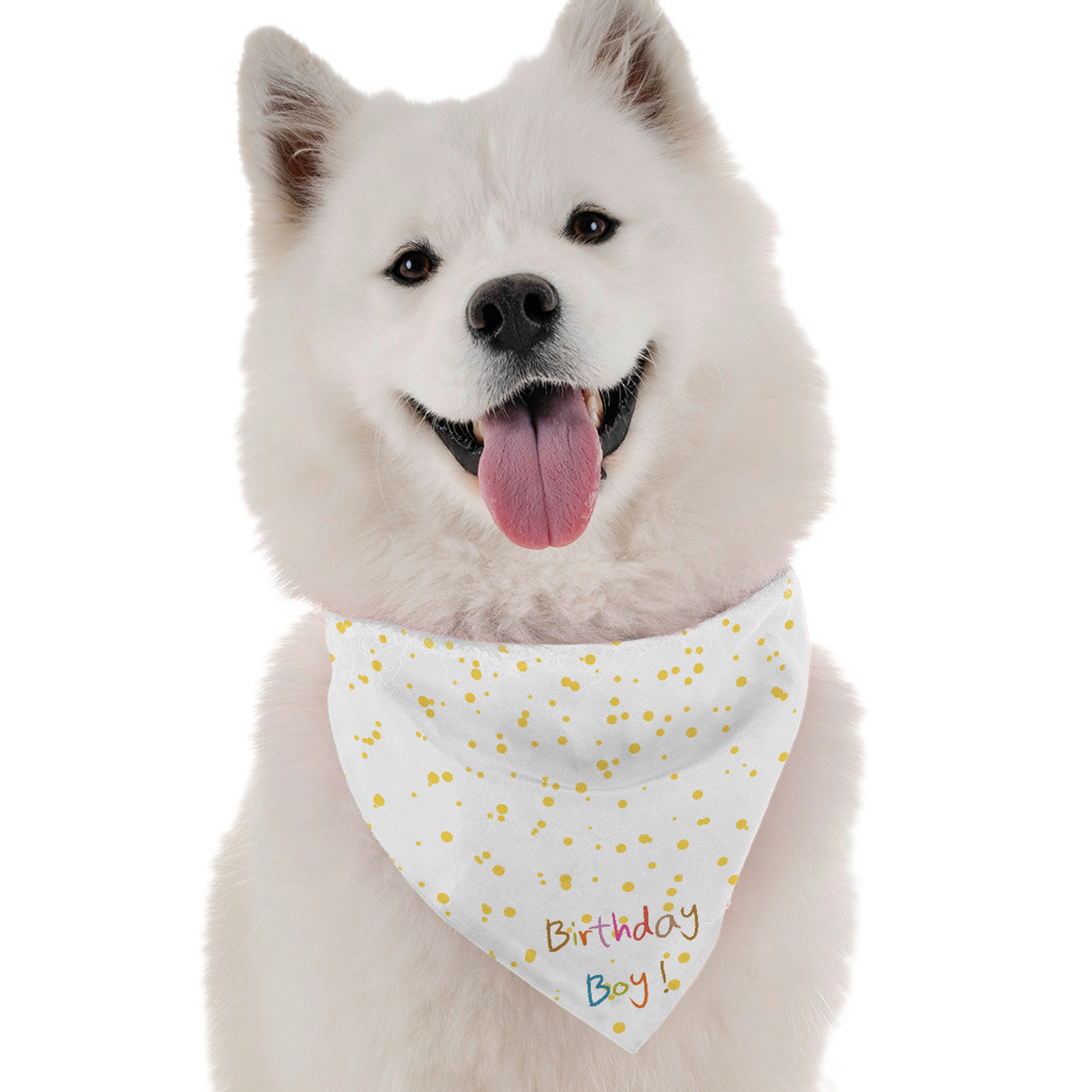 Bandoggies Birthday Boy Dog Bandanas