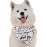 Bandoggies Loved Dog Bandanas