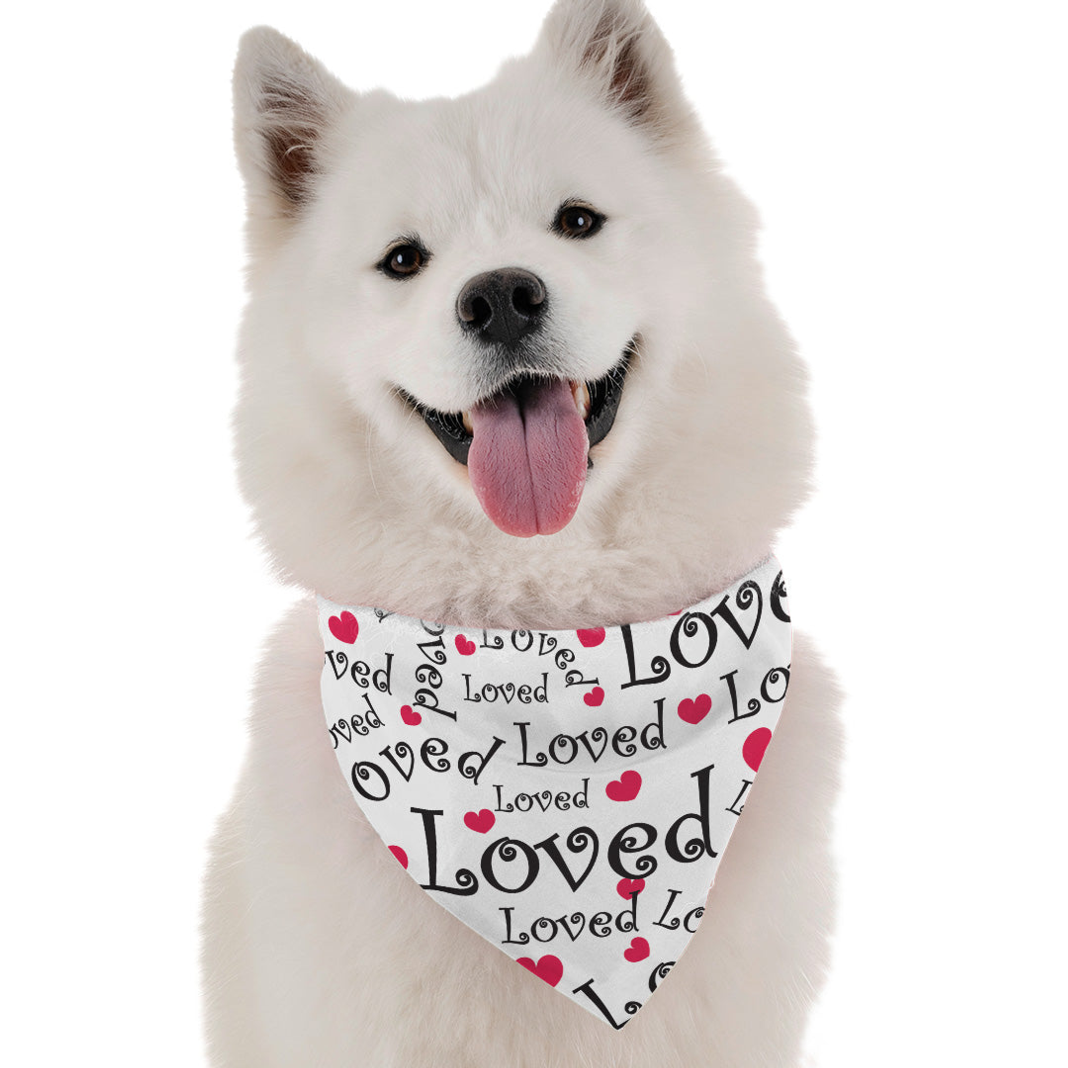 Bandoggies Loved Dog Bandanas