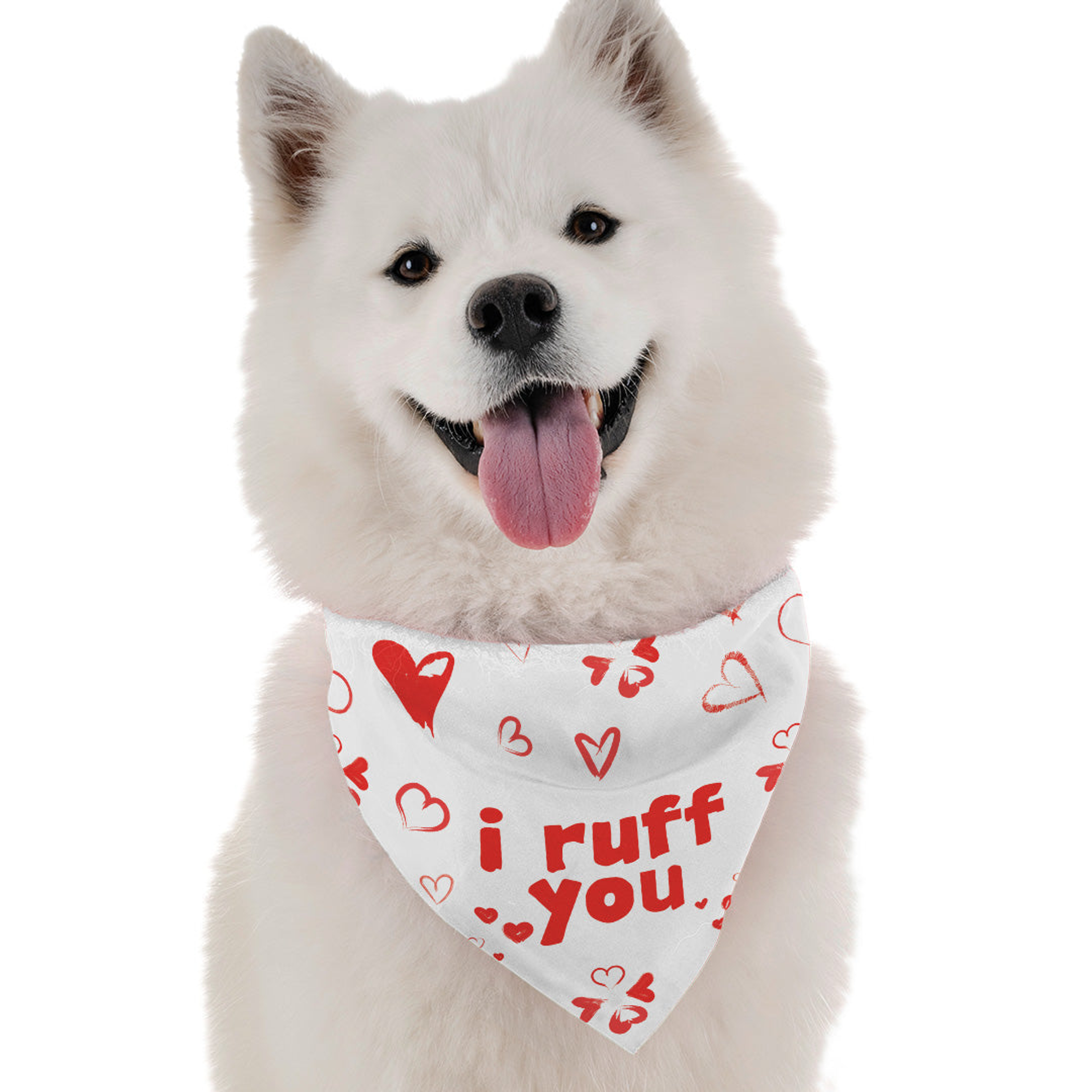 Bandoggies I Ruff You Dog Bandanas