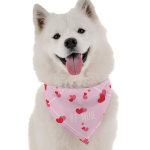 Bandoggies Be Mine Dog Bandanas