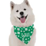Bandoggies I'm Your Lucky Charm Dog Bandanas