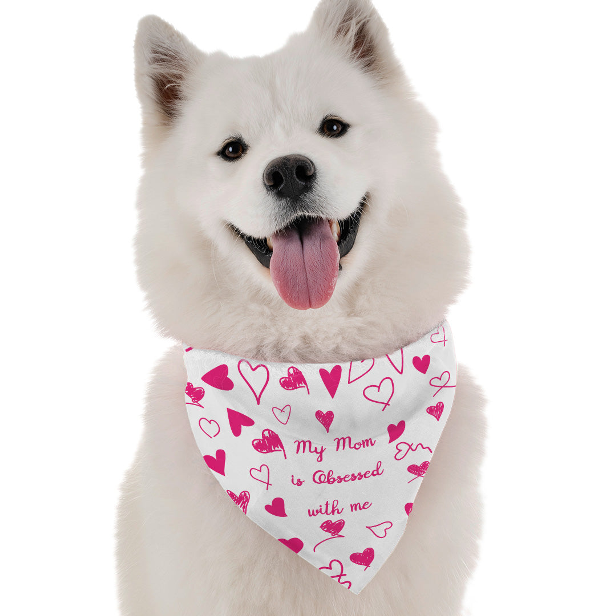 Bandoggies My Mom is Obsessed with Me Dog Bandanas