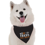 Bandoggies No Tricks