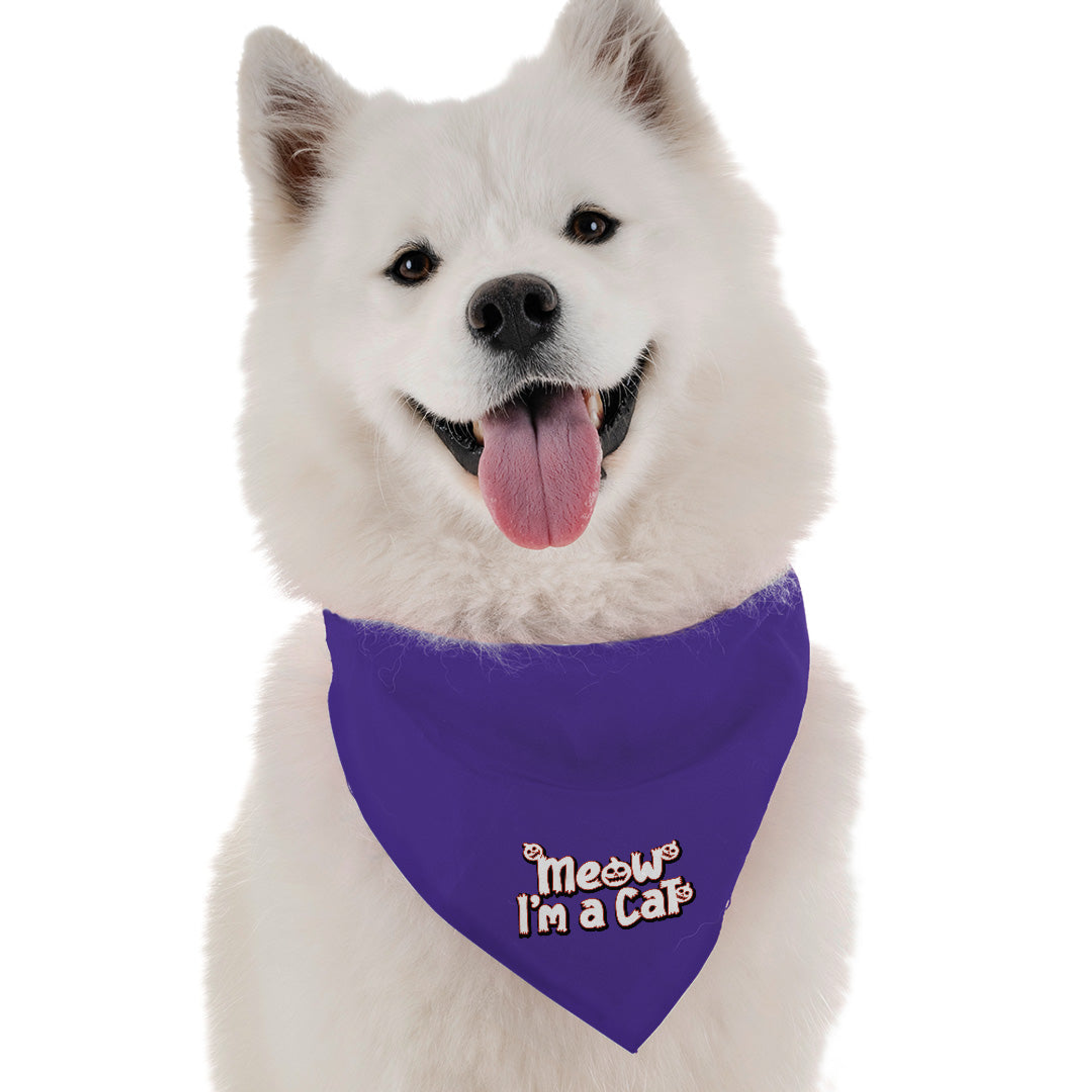 Bandoggies Meow I'm a Cat Dog Bandanas