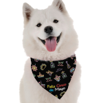 Bandoggies Feliz Cinco de Mayo Dog Bandanas