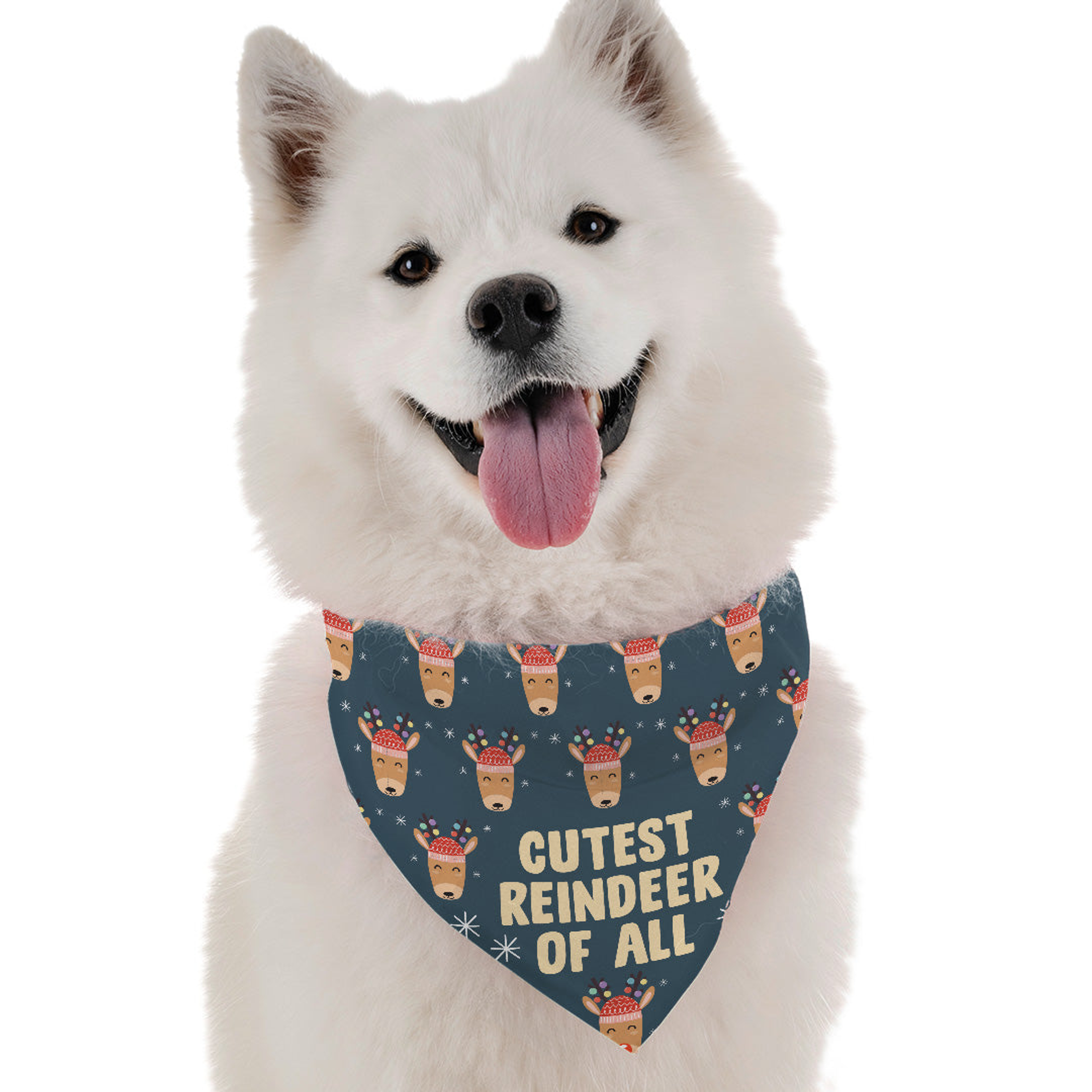 Bandoggies Cutest Reindeer of All Dog Bandanas