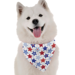 Bandoggies PAWtriotic Dog Bandanas