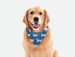 Bandoggies Face Time Dog Bandanas