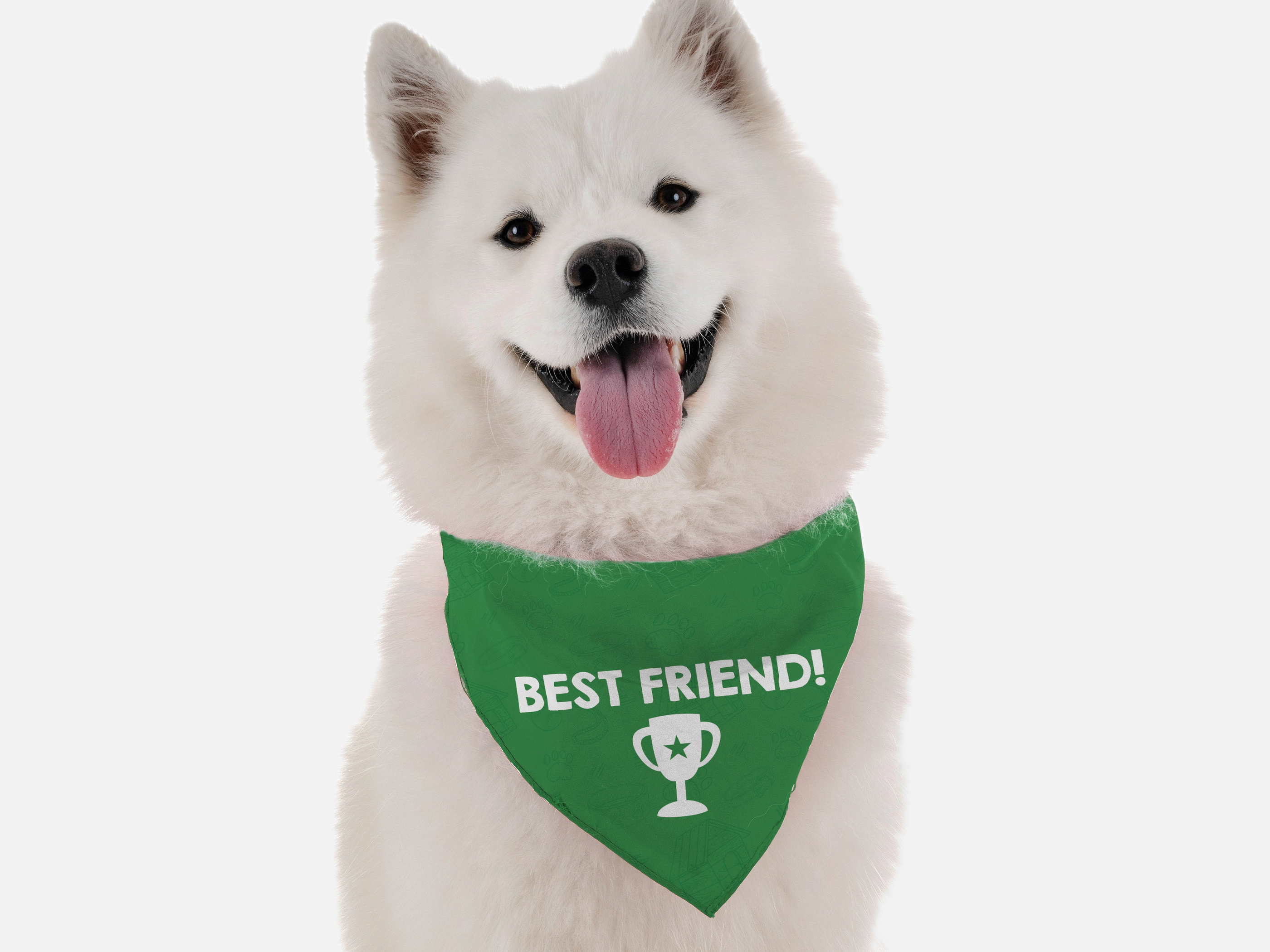 Bandoggies Best Friend Dog Bandanas