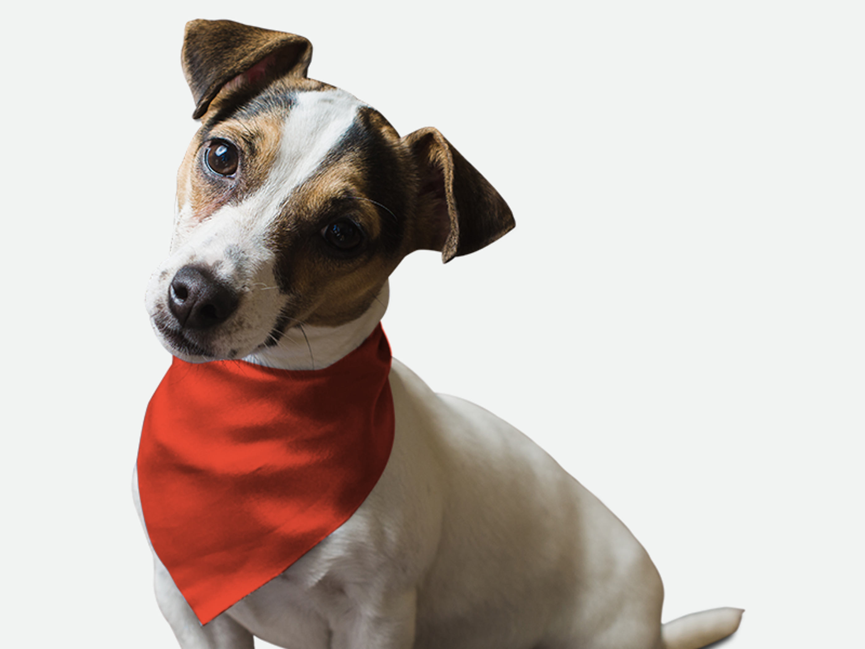 Bandoggies Fire Hydrant Red Dog Bandanas
