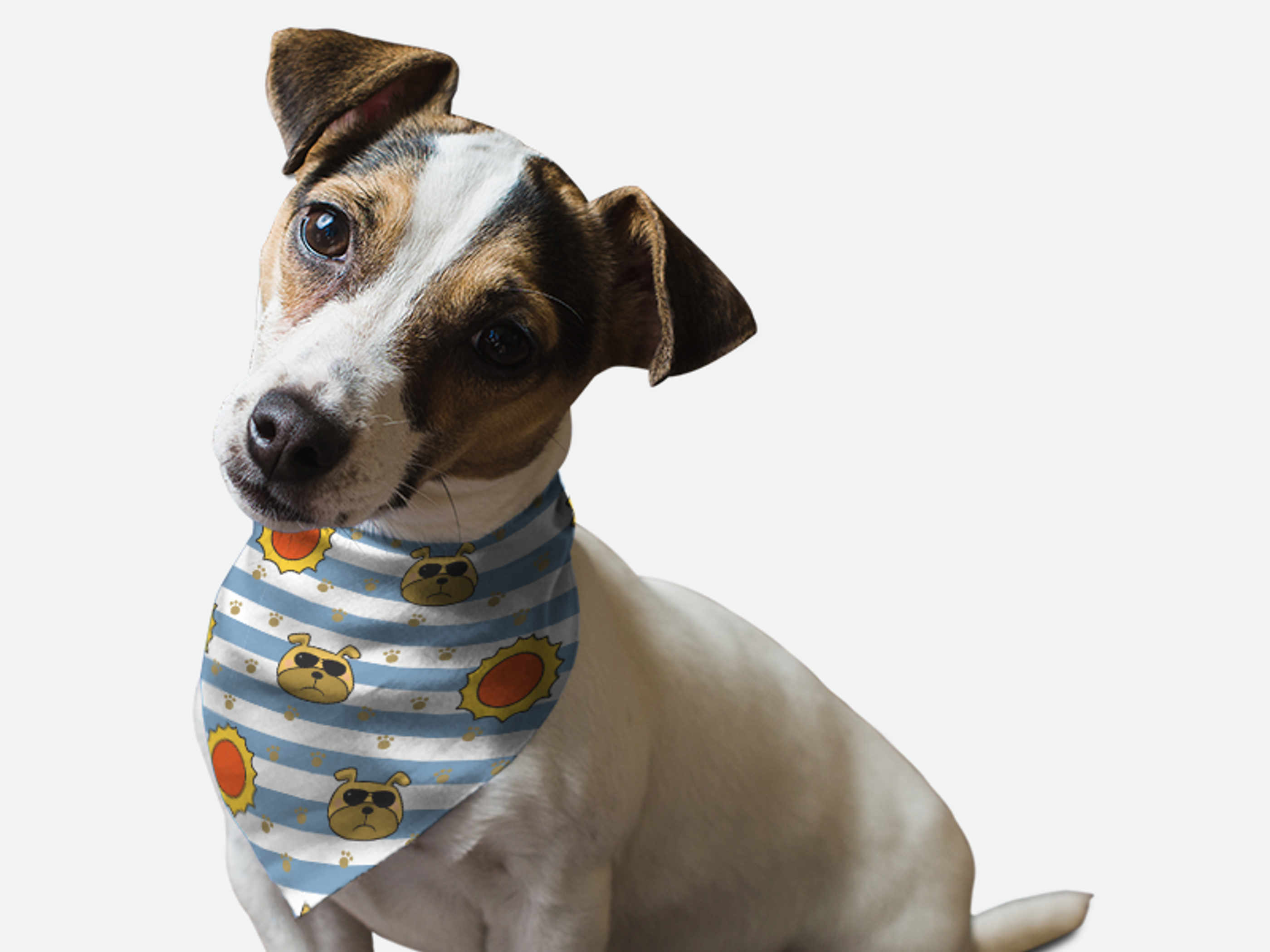 Bandoggies Hot Dogs Dog Bandanas