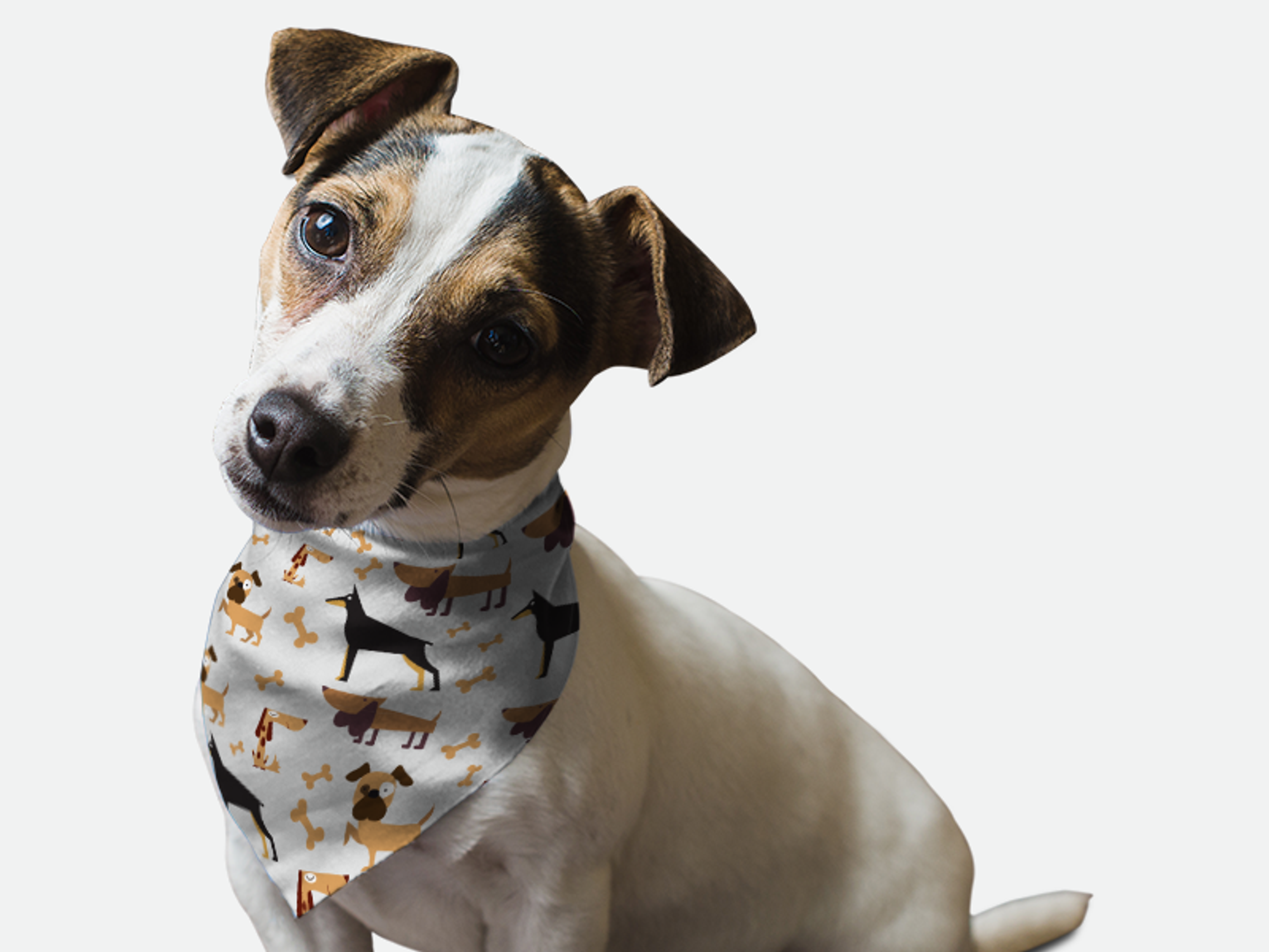 Bandoggies Guard Dog Dog Bandanas