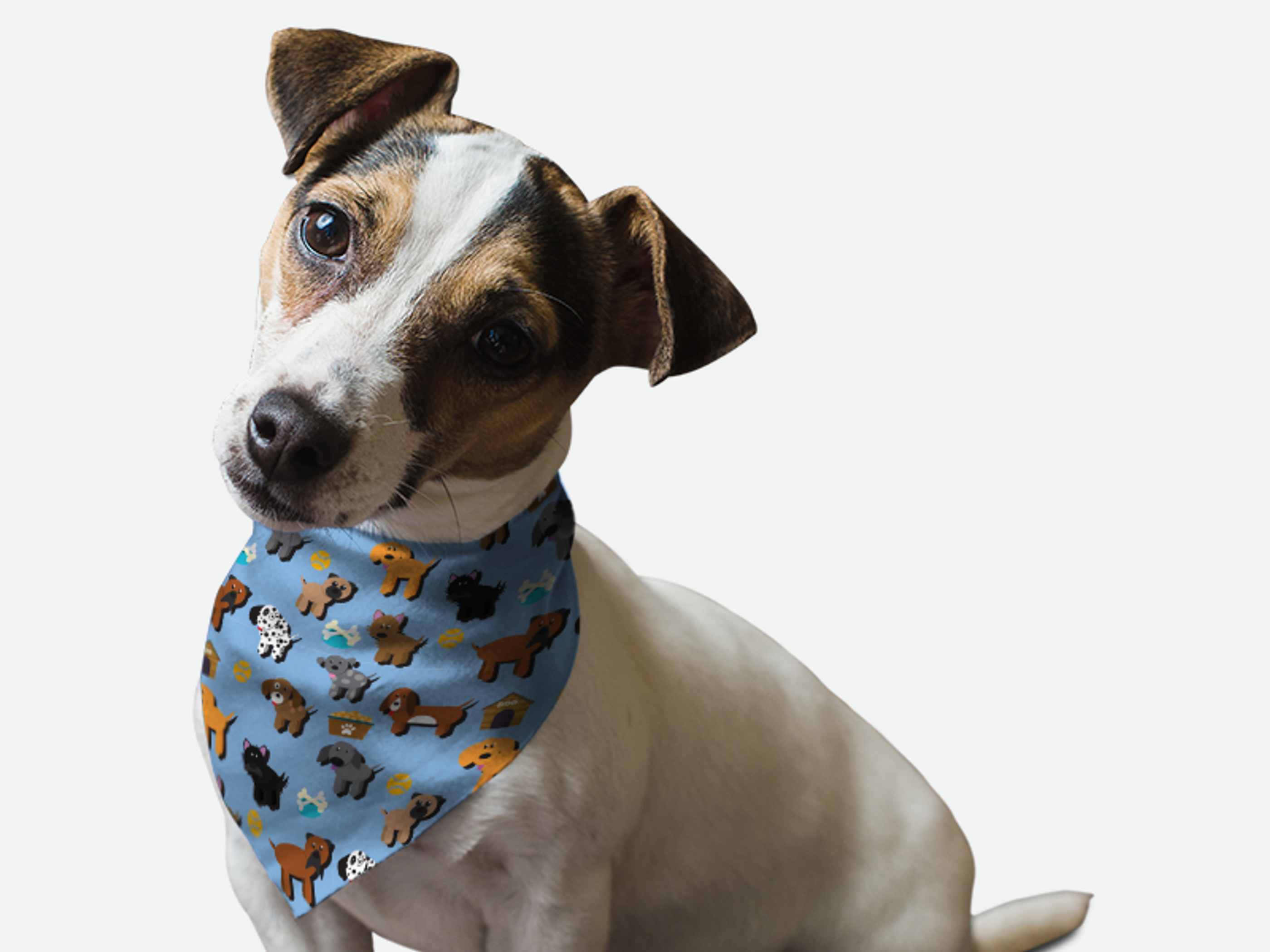 Bandoggies Pup Pals Dog Bandanas