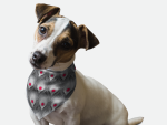 Bandoggies 1940's Retro Style Dog Bandanas