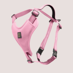Nandog Pet Gear Florida LLC NANDOG Neoprene Sport Dog Harness Dog Harnesses