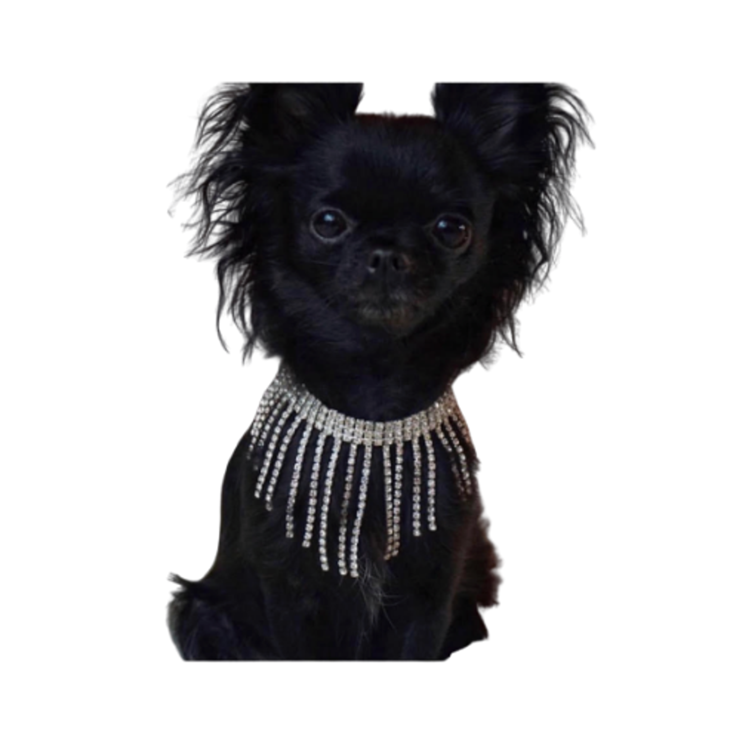 Bark Fifth Avenue Sparkle Dior Necklace Dog Collars