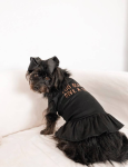 Bark Fifth Avenue Too Glam to Give a Damn Dog Clothes