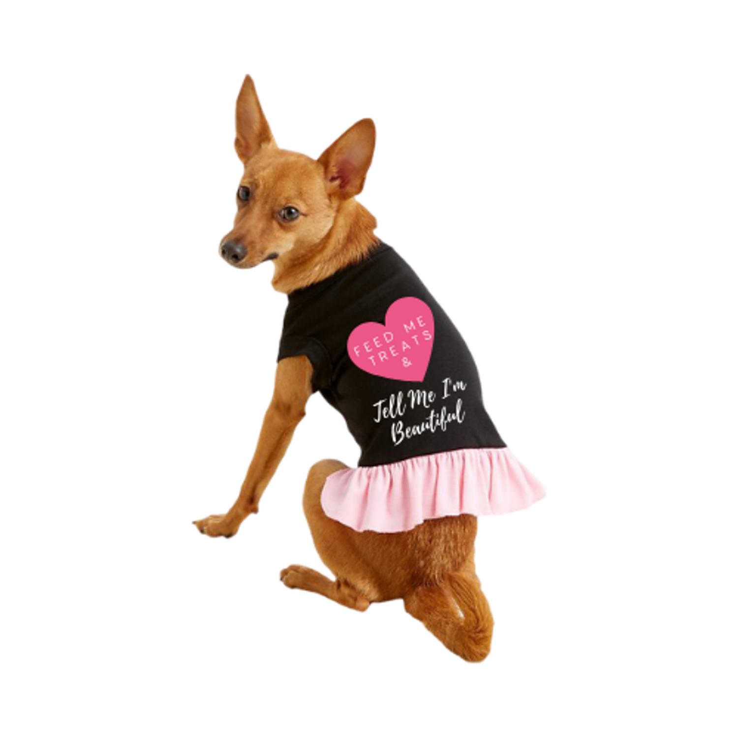 Bark Fifth Avenue Dog Clothes Bark Fifth Avenue Feed Me Treats & Tell Me I'm Beautiful Dog Clothes