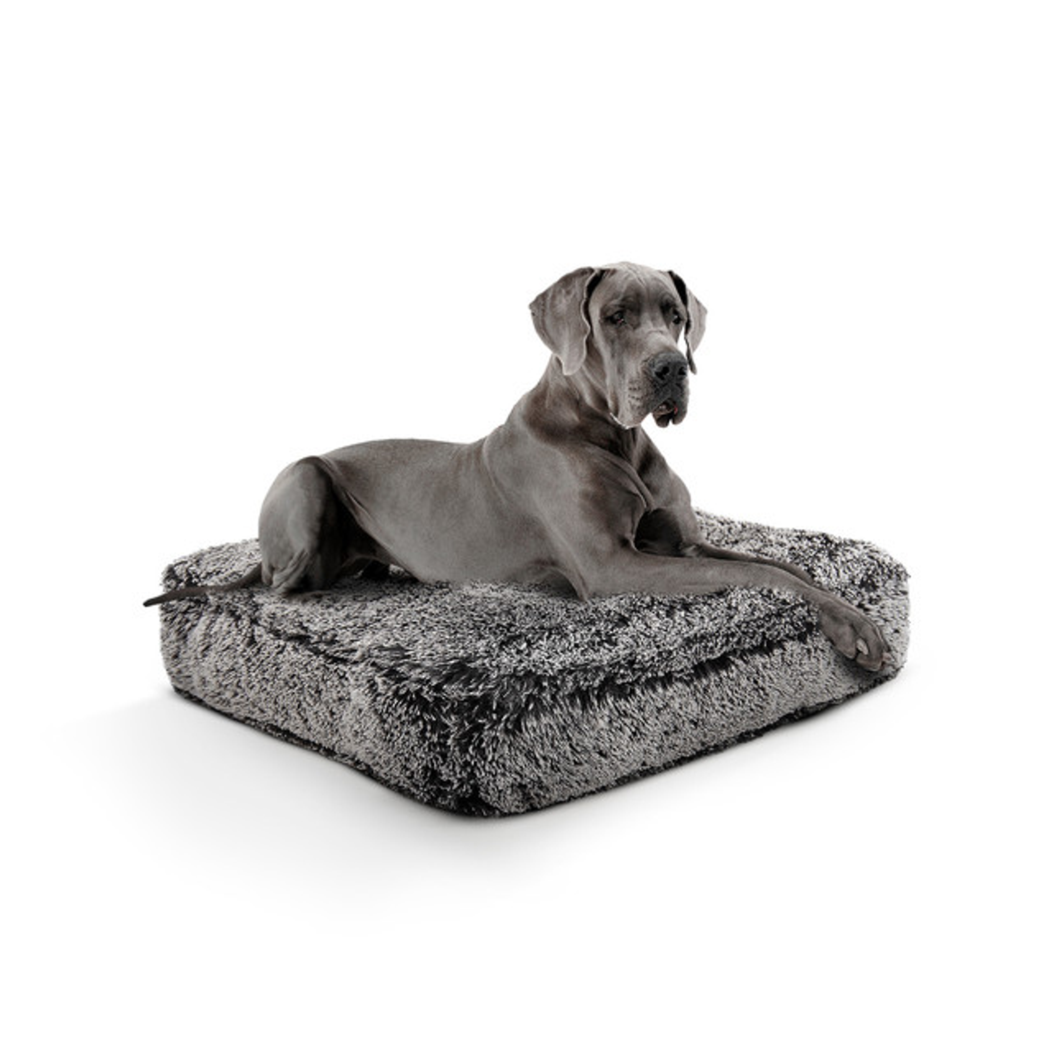 Bessie and Barnie Rectangle Bed XL - Midnight Frost Dog Beds