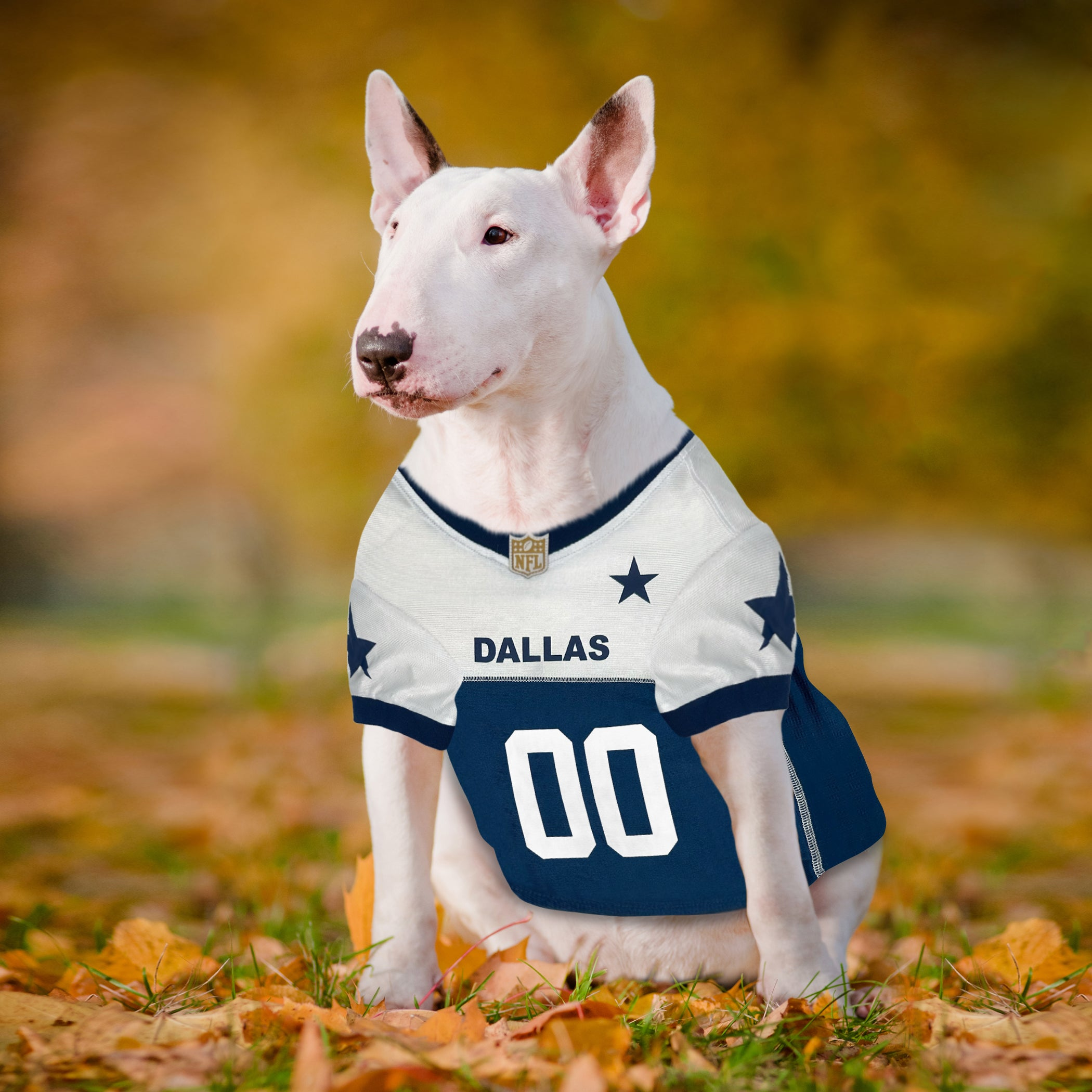 Pets First Co Dallas Cowboys Throwback Jersey Apparel