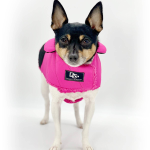 DoggieCoutureNY DoggieCoutureNY Water Resistant Coat Dog Clothes