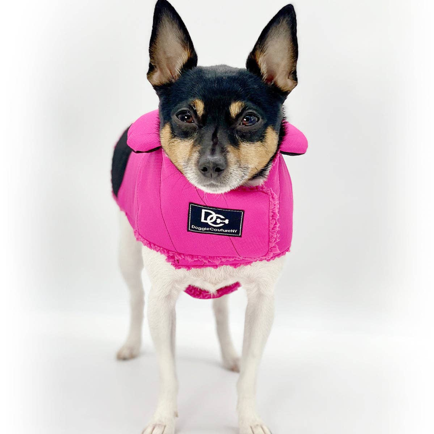 DoggieCoutureNY Dog Clothes DoggieCoutureNY DoggieCoutureNY Water Resistant Coat Dog Clothes