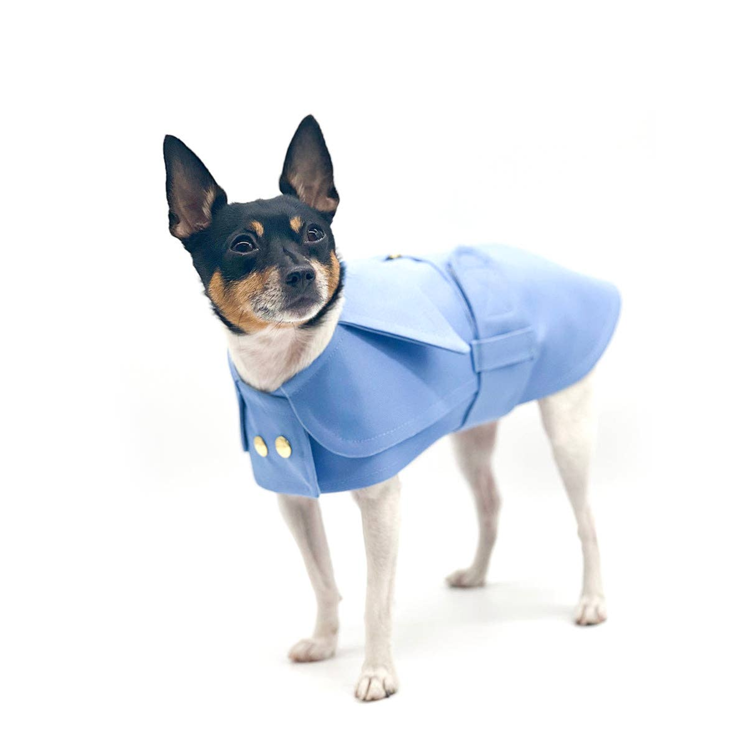 DoggieCoutureNY - DCNY Belted Trench Coat