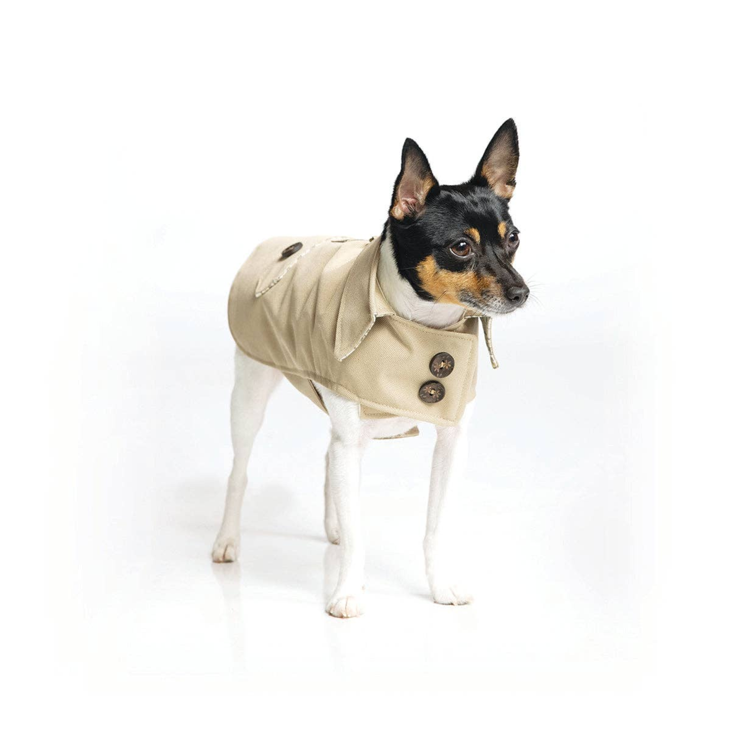 DoggieCoutureNY - DoggieCoutureNY Classic Trench Coat