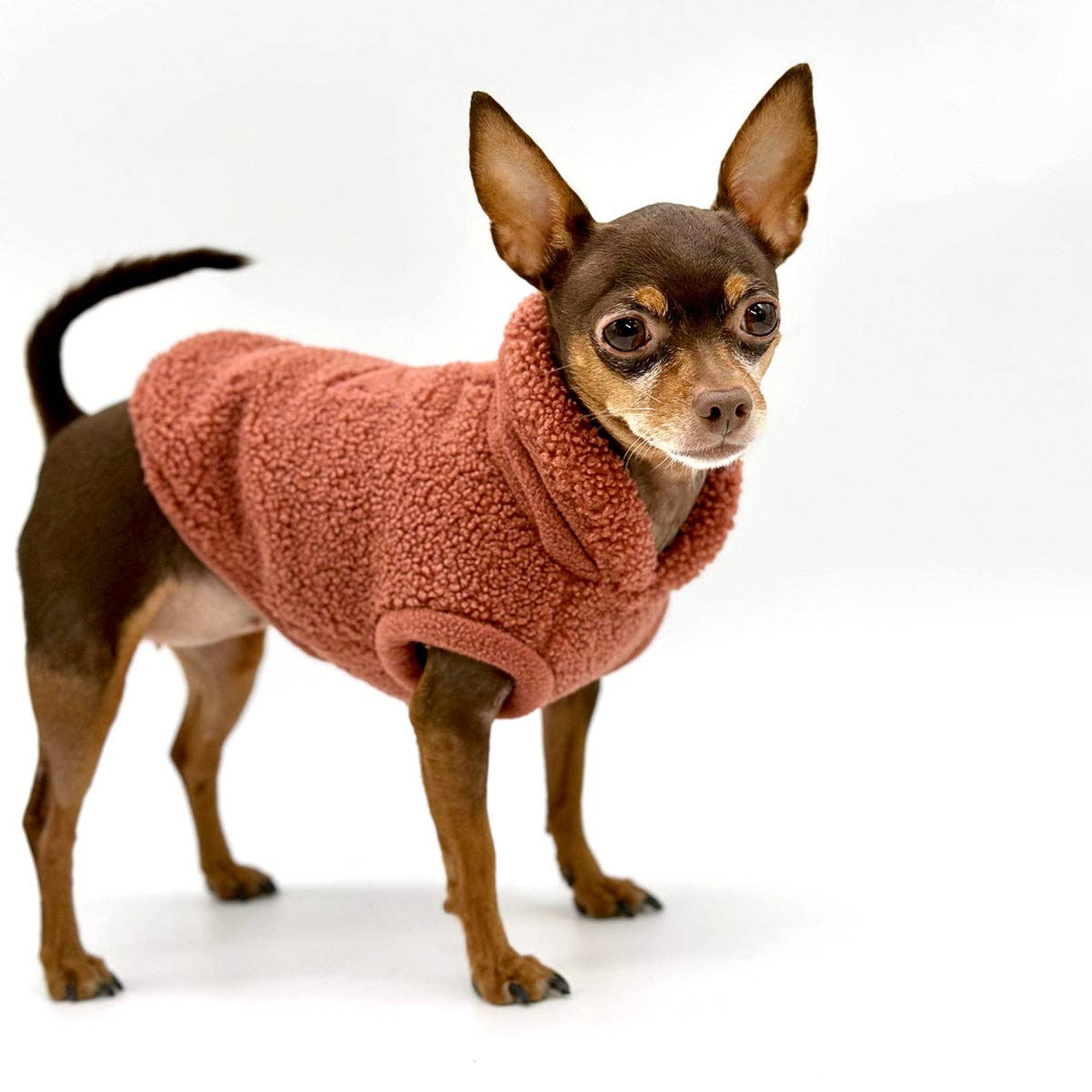 DoggieCoutureNY - Cozy Sherpa Fleece Pullover