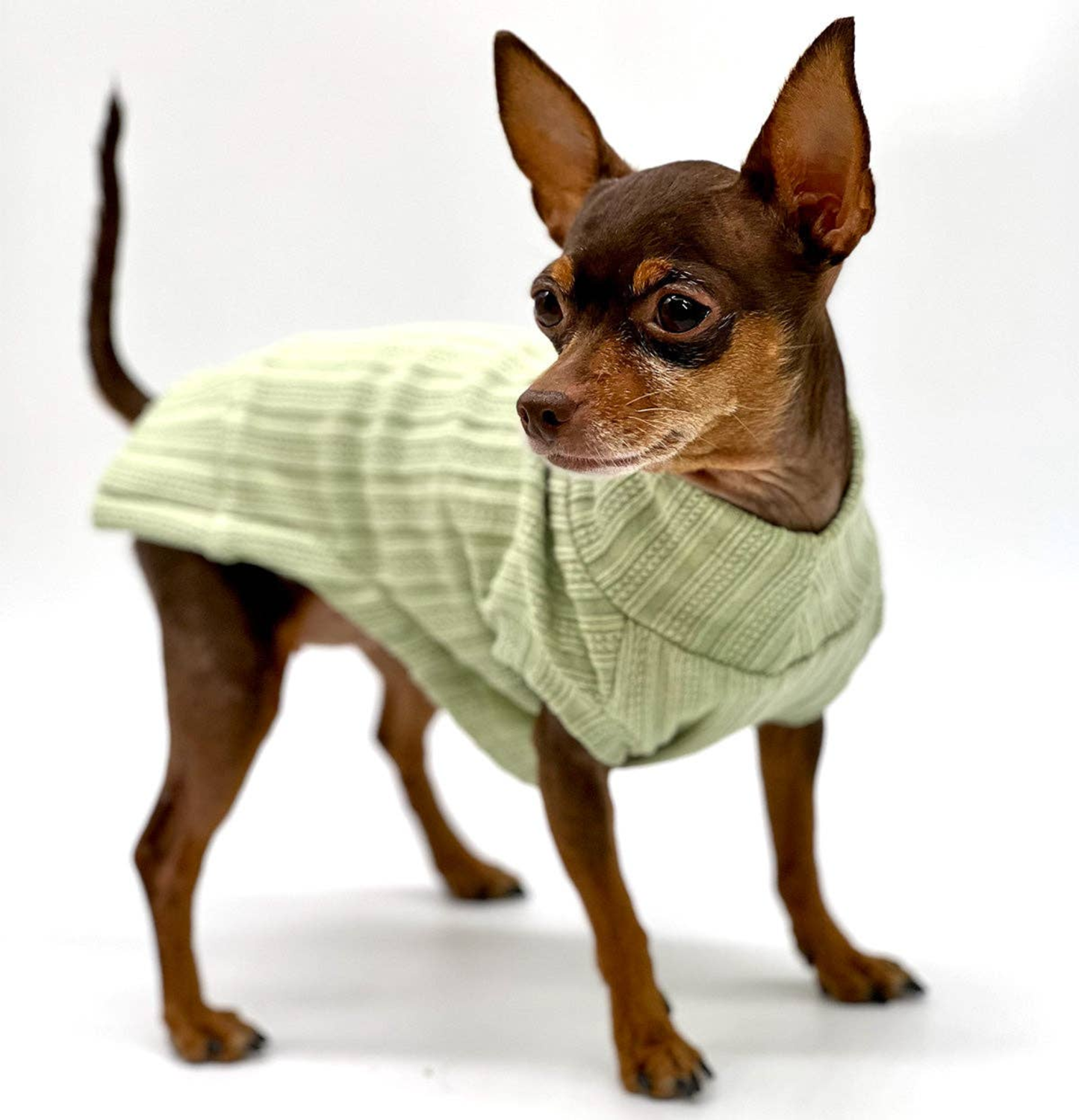 DoggieCoutureNY DCNY Mock Neck Sleeveless Sweater Tank Dog Clothes