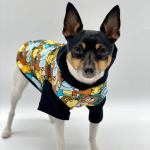 DoggieCoutureNY DCNY Day At The Zoo Hoodie - Limited Edition Dog Clothes